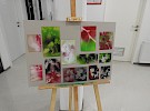 dscn0516