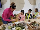 dscn0661