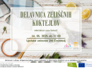 ver01 1 grafika   delavnica zeliscnih koktejlov