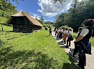 img 1750