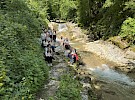 img 1783