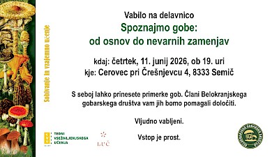 Spoznajmo gobe: od osnov do nevarnih zamenjav
