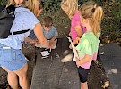 img 5148