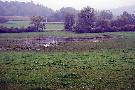 08 nerajski lugi