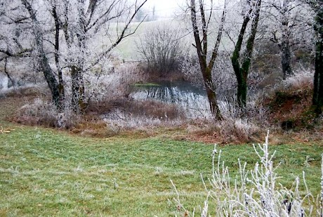 07 jelsevnik