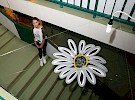 img 0068