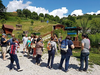 Zaključek programa Spodbujanje lokalne samooskrbe