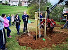 sajenje drevesa  05 04 11