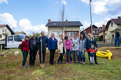 Zasadili prvo drevo