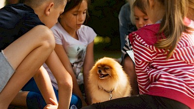 Medgeneracijski vrt: Branje s psom