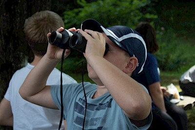 Medgeneracijski vrt: Ptice v Beli krajini