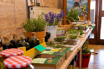 Dnevi zeliščarstva v Beli krajini in razstava sadja, zelišč in medenih izdelkov so se začeli