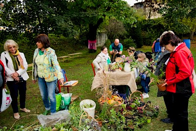 Dnevi zeliščarstva in razstava sadja, zelišč in medenih izdelkov so zanimivi za vse generacije