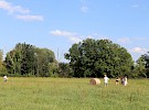 img 3149