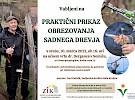 obrezovanje sadnega drevja