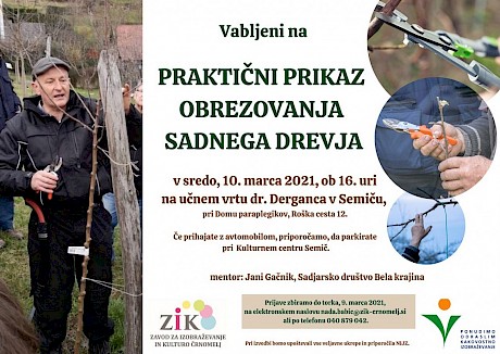 obrezovanje_sadnega_drevja