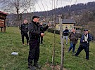 obrezovanje sadnega drevja semic marec 2021