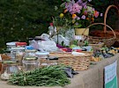 img 2081