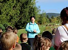 img 2117
