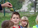 img 2244