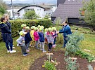 img 9681
