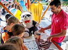 parada ucenja 2022 poklicijada 59