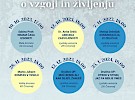 vzgoja  zivljenje 1